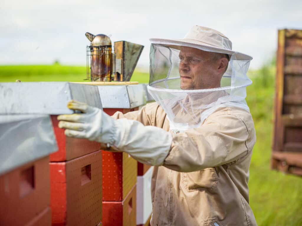 HVA BETYR RÅ HONNING?